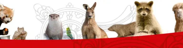 Naturschutz-Tierpark Görlitz e. V. Header