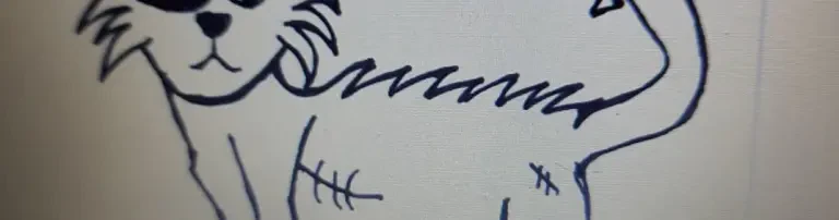 Katzenrettung Gangelt e.V. Header
