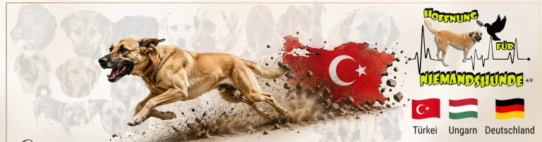 Hoffnung für Niemandshunde e.V. Header