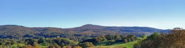 Kunst und Kultur im Odenwald e. V. Header