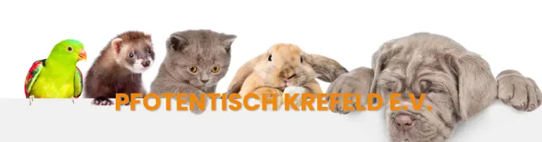 Pfotentisch Krefeld e.V. Header