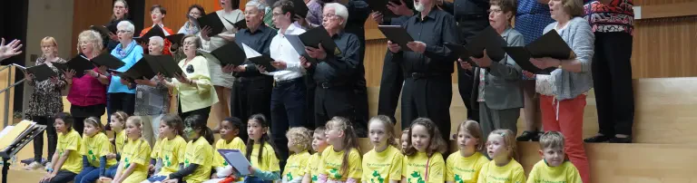 Gesangverein Frohsinn Laichingen Header
