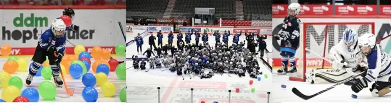 Schwenninger Wild Wings Future Header
