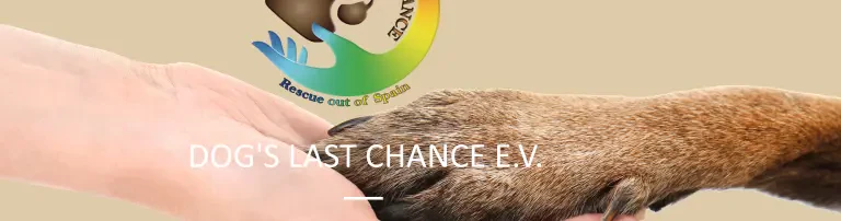 Dog's last chance e.V. Header