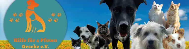 Hilfe für 4 Pfoten Geseke e.V Header