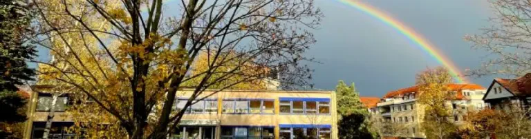 Förderverein Kindertagesstätte "Kinderhaus Pusteblumen" e.V. Header