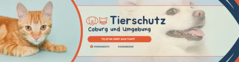 Pfotenhilfe mit Herz Header