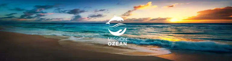 Mission Ozean Header