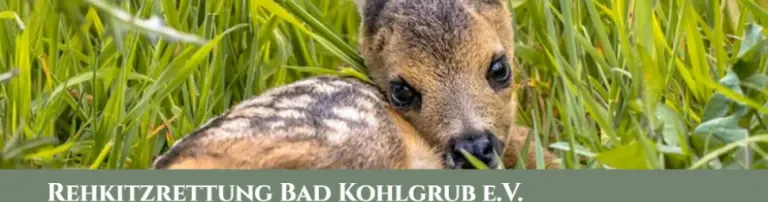 Rehkitzrettung Bad Kohlgrub e.V. Header