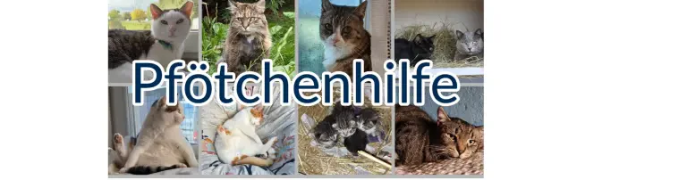 Pfötchenhilfe Mistelbach Header