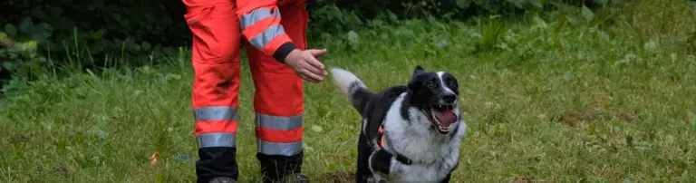 BRH Rettungshundestaffel Rheingau-Taunus e.V. Header