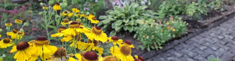 Verein der Gartenfreunde "Unter den Nussbäumen - Wiesbaden" e. V. Header