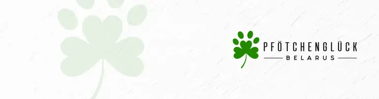 Pfötchenglück Belarus e.V. Header