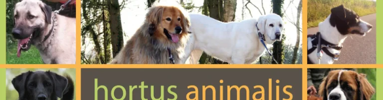 TSV Hortus Animalis e.V. Header