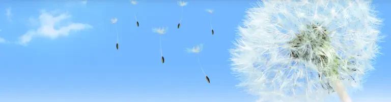Tuberöse Sklerose Deutschland e. V. Header