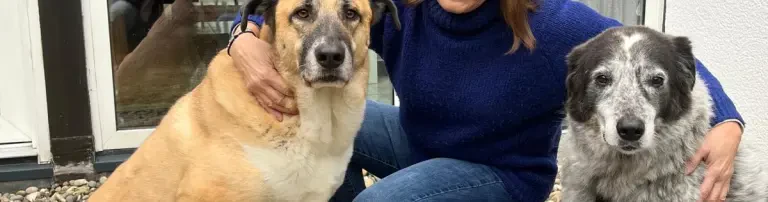 Elpida - Hoffnung für Straßenhunde e.V. Header