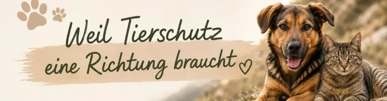 Tierhilfe Kompass i.Gr. Header