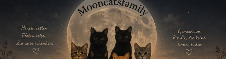 Mooncatsfamily Header