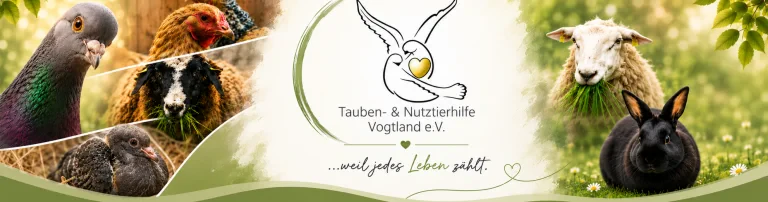 Tauben- und Nutztierhilfe Vogtland e.V. Header