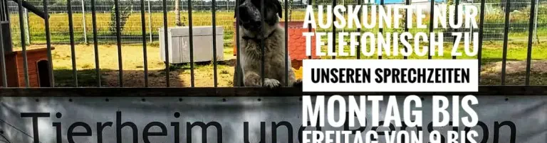 SOS Hundehilfe Prignitz e.V. Tierheim Header