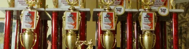 Tiger & Dragon Association e.V. Header