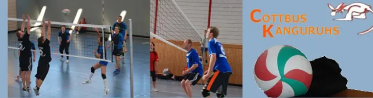 Volleyballverein Cottbus Känguruhs e.V. Header