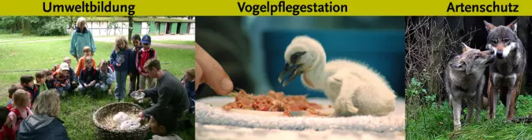 Förderungsverein Wildpark Eekholt e.V. Header