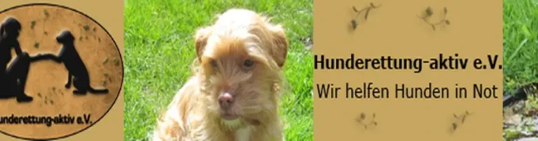 Tierschutzverein Hunderettung-aktiv e.V. Header