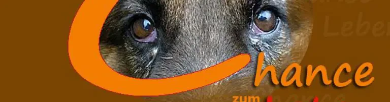 Chance zum Leben e.V. Header