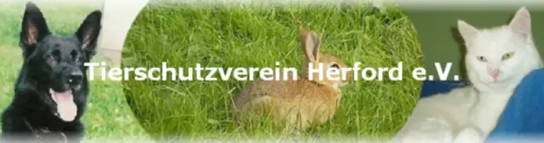 Tierschutzverein Herford e.V. Header