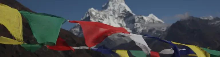 Himalayan Care Foundation Header