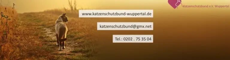 Katzenschutzbund e.V. Wuppertal Header