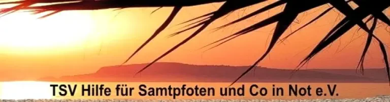 Hilfe für Samtpfoten in Not e.V. Header