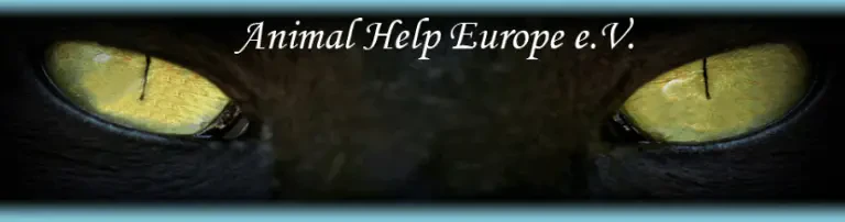 Animal Help Europe e.V. Header