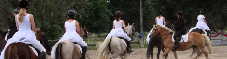 Pferde- und Ponyhof Repten Header