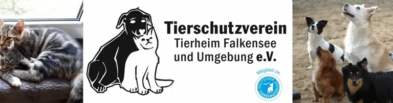 Tierschutzverein Tierheim Falkensee und Umgebung e.V. Header