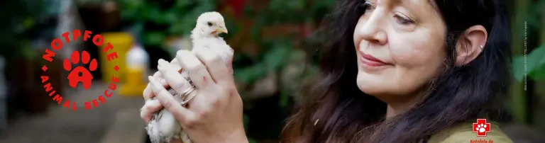 TSV Notpfote Animal Rescue e.V. Header