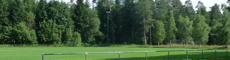 TSV Schömberg 1901 e.V. Header