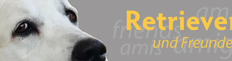 Retriever und Freunde e.V. Header
