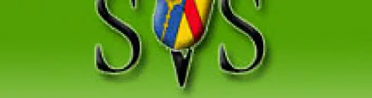 SV Sasbach 1928 e.V. Header