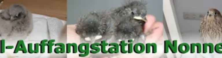Wildvogel-Auffangstation Nonnenhof e.V. Header