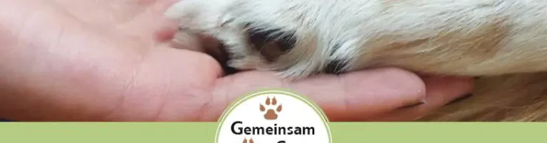 Gemeinsam Stark für Tiere e.V Header