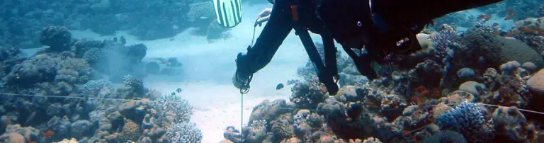 Reef Check e.V Header