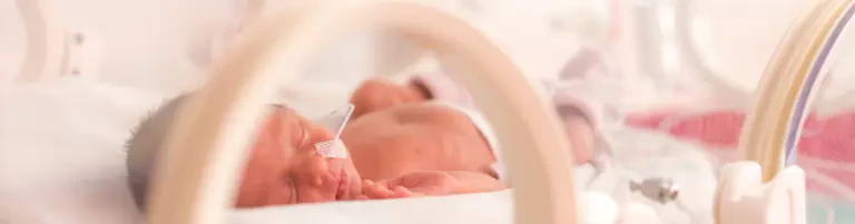 Bundesverband "Das frühgeborene Kind" e.V. Header