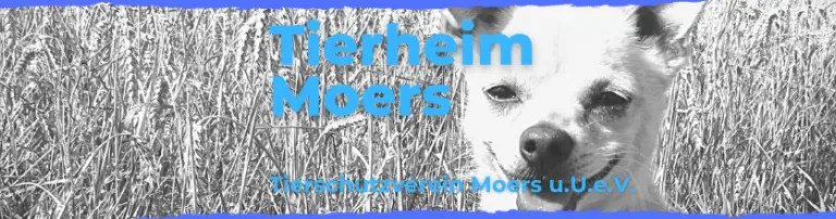 Tierschutzverein Moers und  Umgebung e. V. Header