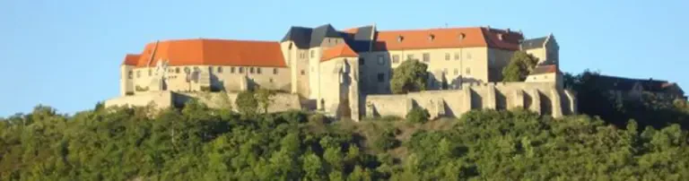 Verein zur Rettung und Erhaltung der Neuenburg e.V. Header