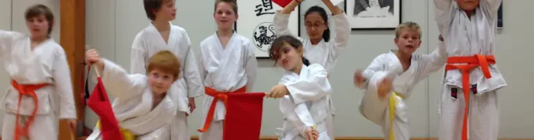 Shotokan-Karate-Dojo Münster e. V. Header