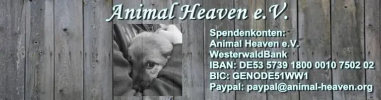 Animal Heaven e.V. Header