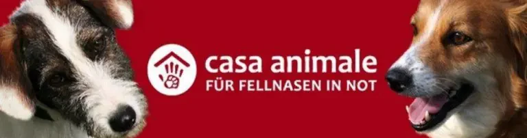 casa animale e.V. Für Fellnasen in Not Header