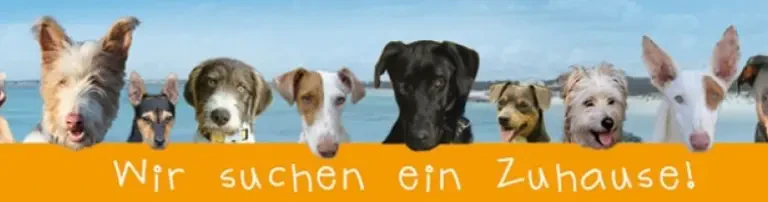 Hunde aus Mallorca e.V. Header